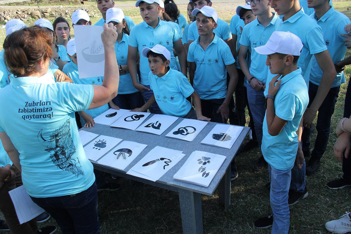 В Азербайджане прошел трехдневный детский лагерь-слет "Вернем зубров в нашу природу!”