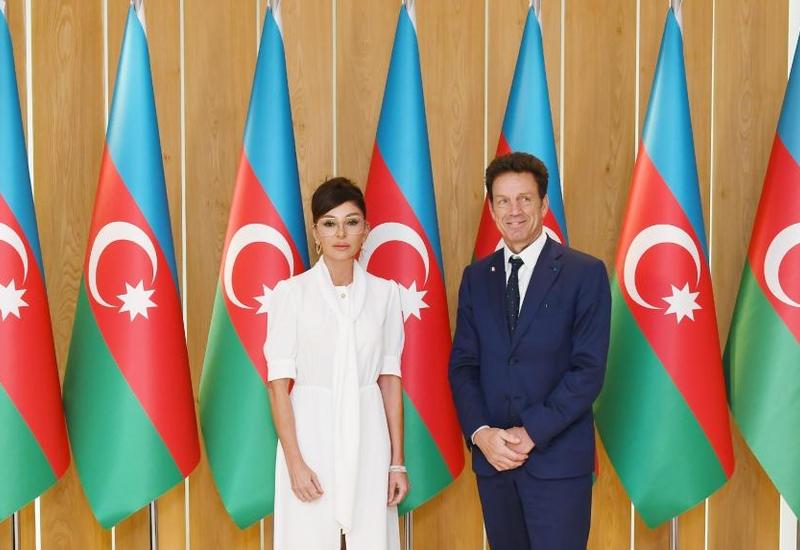 Первый вице-президент Мехрибан Алиева встретилась с президентом бизнес-совета MEDEF