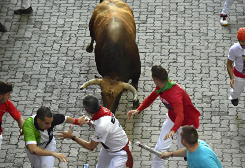 В Испании туристы пострадали во время забега быков