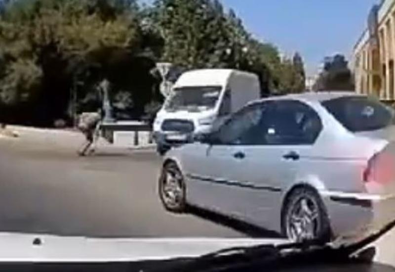 Bakıda qəza: “BMW” qəfil sağa döndü, motosikleti vurdu