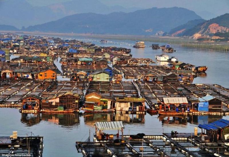Без почвы под ногами: китайские рыбаки живут в огромных плавучих деревнях