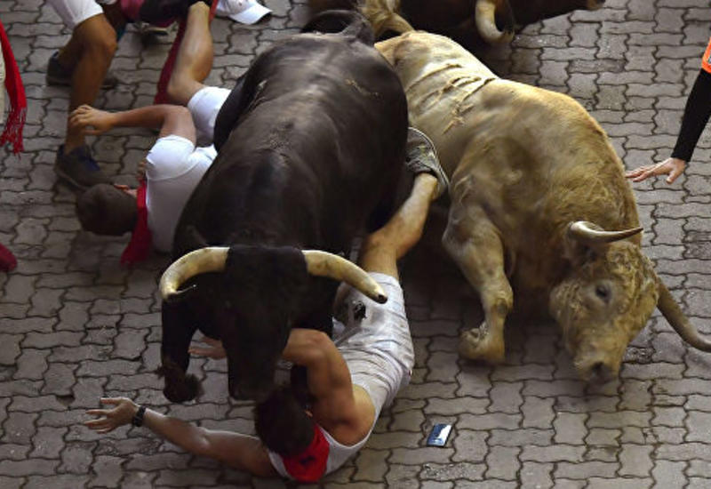 В Испании пять человек пострадали во время забега быков