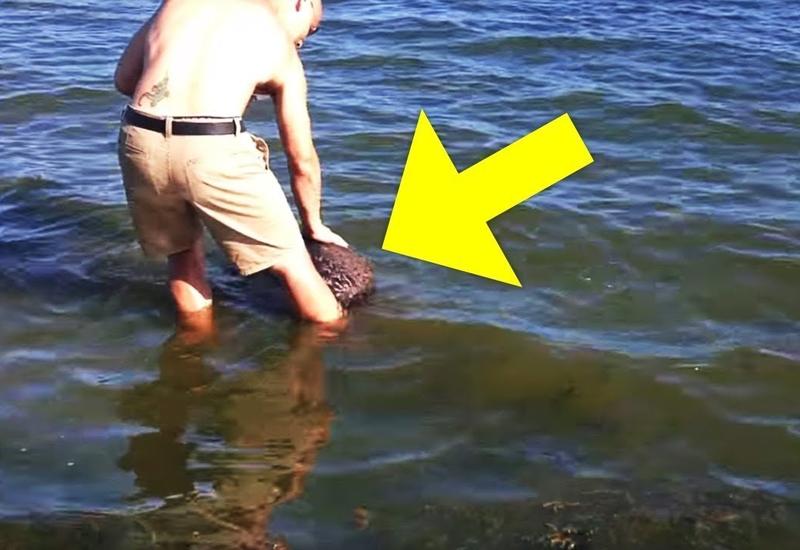 Этот мужчина стоял на берегу, когда вдруг почувствовал, что что-то потянуло его за ноги