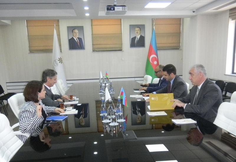 Агентство по развитию МСБ Азербайджана и ПРООН обсудили перспективы сотрудничества