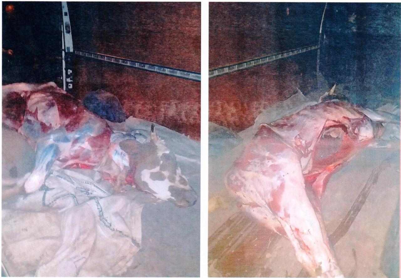 В Шамкире обнаружили сотни килограммов опасного мяса