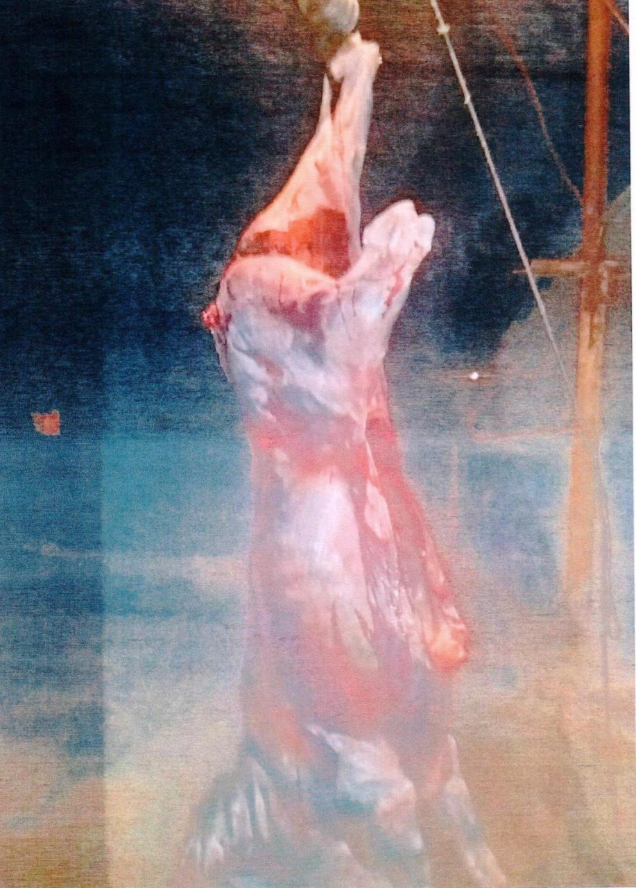 В Шамкире обнаружили сотни килограммов опасного мяса
