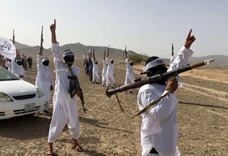 США возобновят переговоры с "Талибаном"
