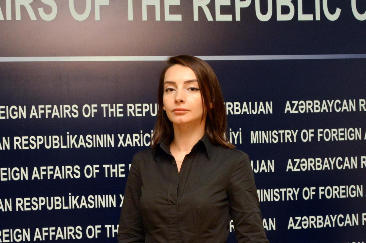 Лейла Абдуллаева: Сегодня единственным виновником эскалации напряженности в регионе является Армения
