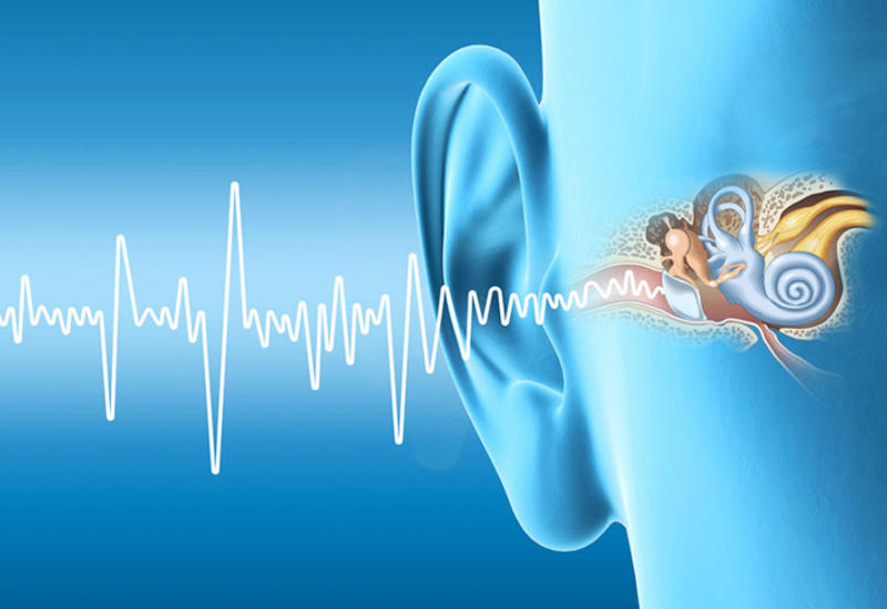 О каких болезнях предупреждает шум в ушах