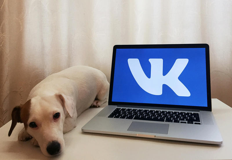 «ВКонтакте» тестирует скрытие счетчика лайков