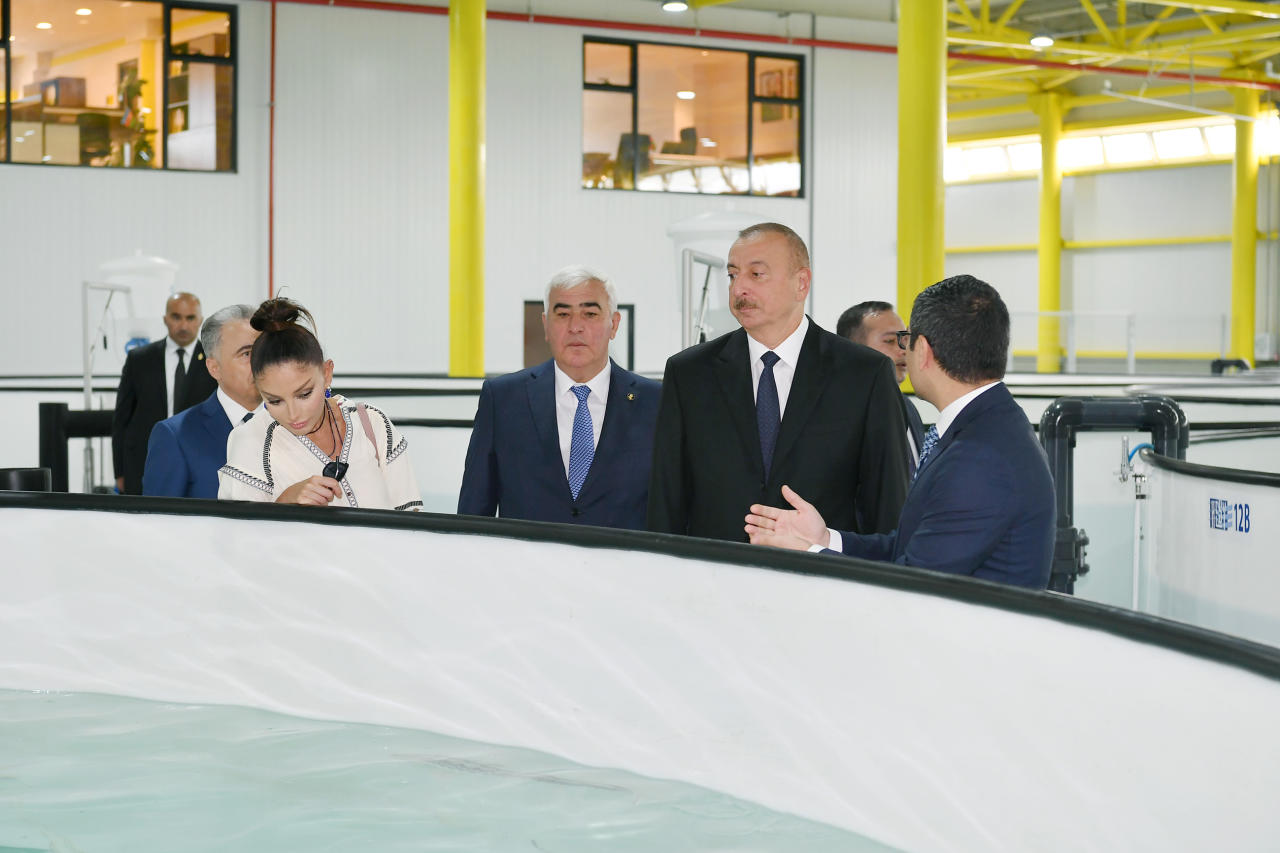 Президент Ильхам Алиев и Первая леди Мехрибан Алиева ознакомились с производственным процессом на рыборазводном заводе «НереМИЗ», созданном в Пираллахинском районе