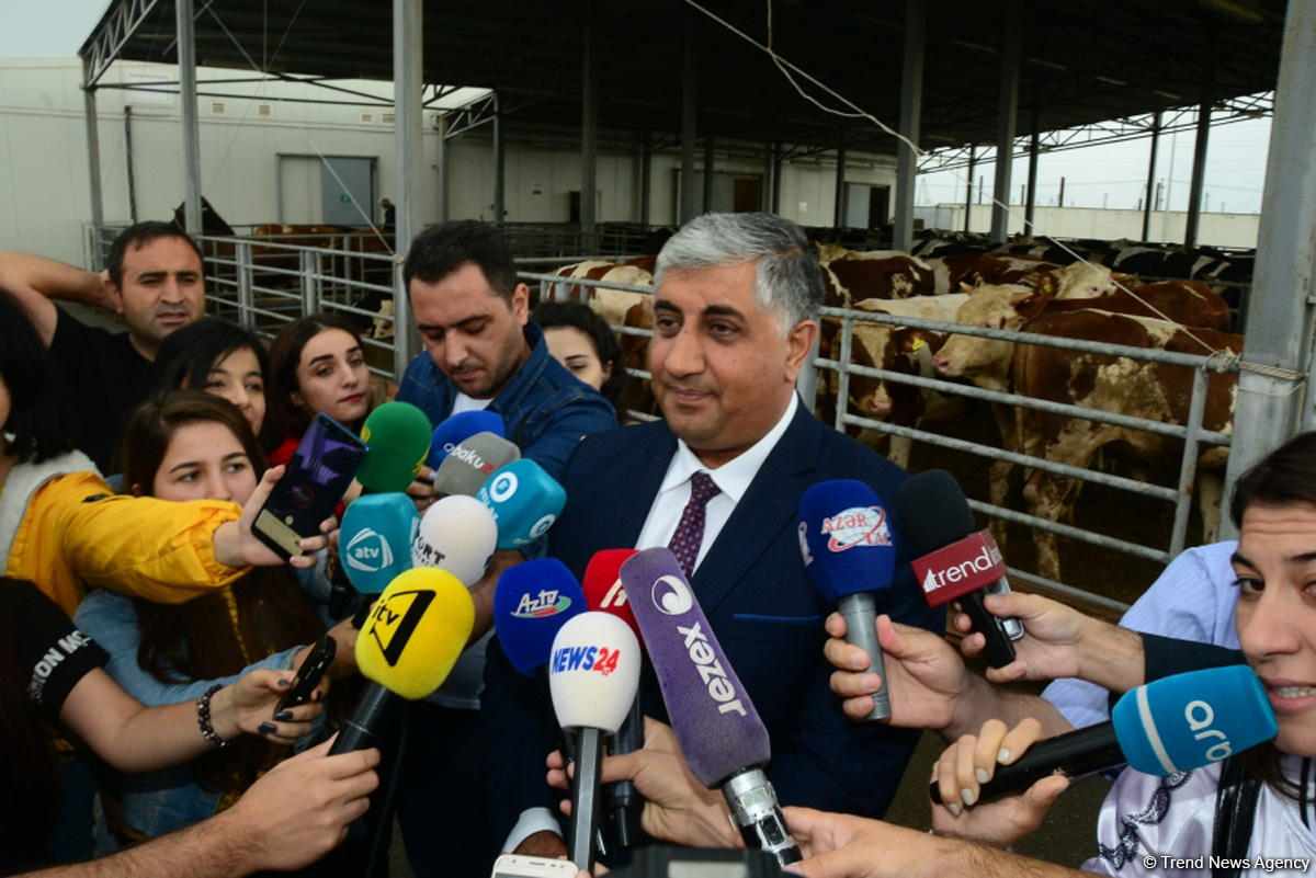 Журналистам показали, как будут работать пункты жертвенного забоя скота