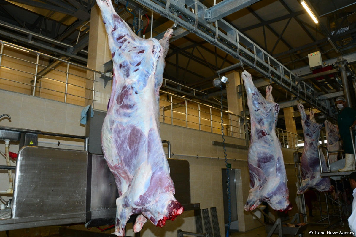 В Азербайджане будут бесплатно проверять жертвенное мясо