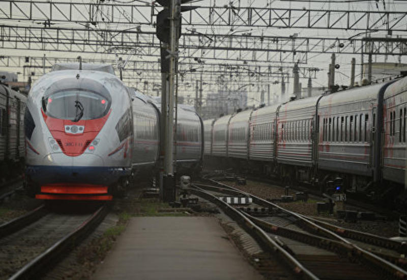 В России девочку, делавшую селфи на вагоне поезда, ударило током
