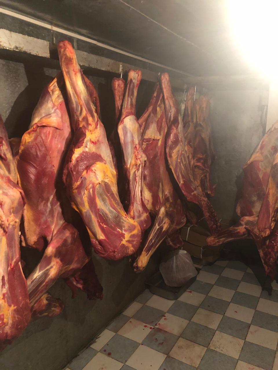 В Баку предотвращена реализация 851 кг непригодного к употреблению мяса