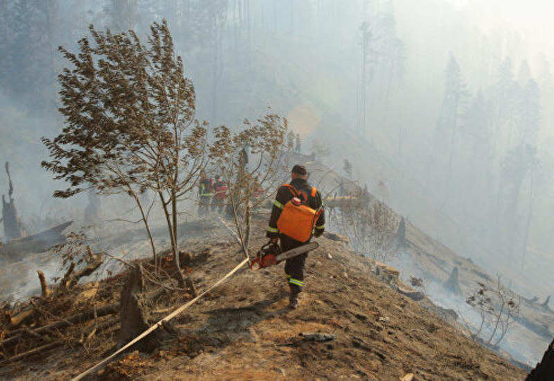 В Грузии горит около сорока гектаров леса