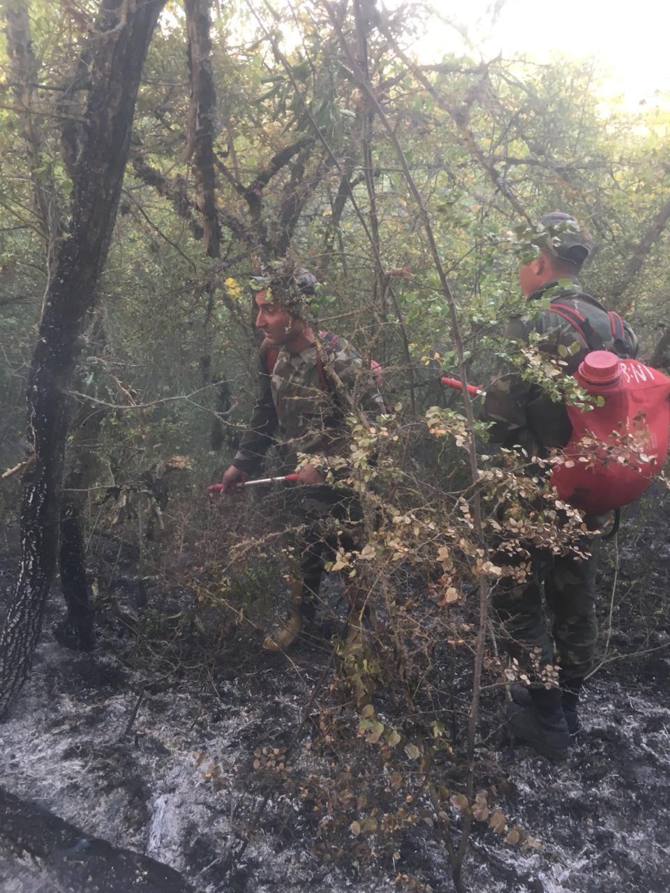 Крупный пожар в Агсу: к тушению огня привлечены вертолеты