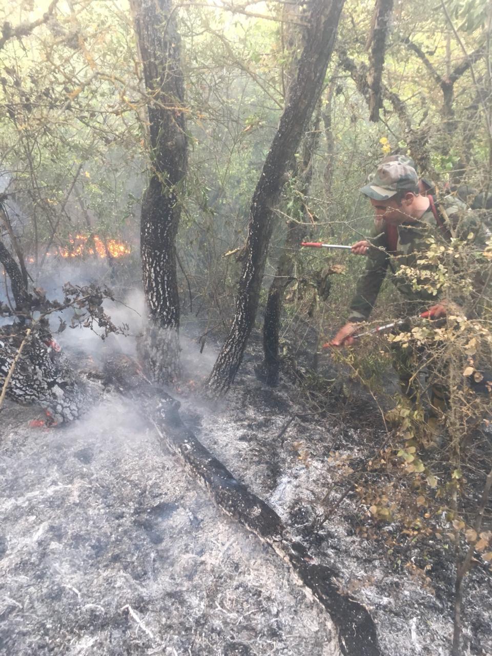 Крупный пожар в Агсу: к тушению огня привлечены вертолеты