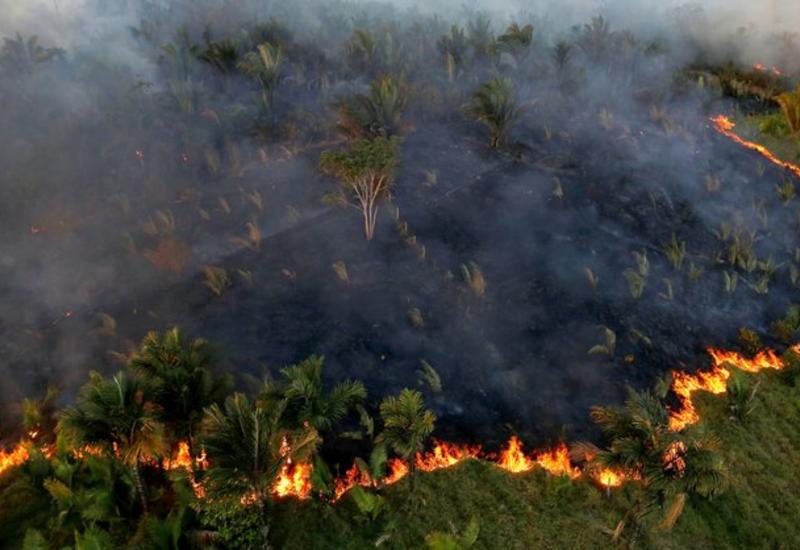 Власти Бразилии могут привлечь армию для тушения пожаров в Амазонии