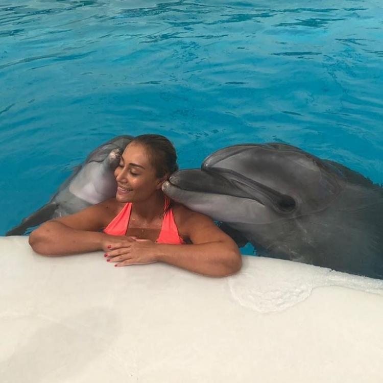 AzTV-nin aparıcısı bikinidə, delfinlərlə birgə — FOTO