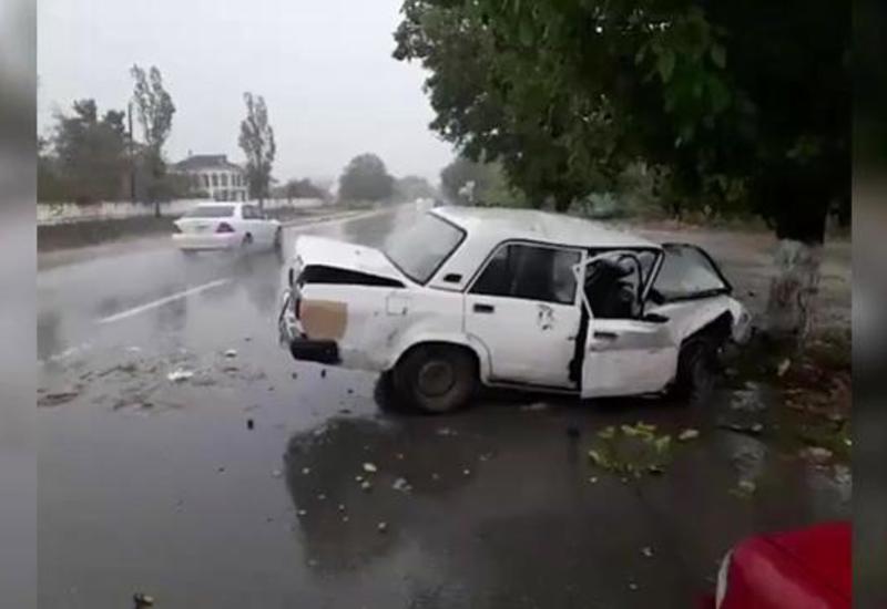 Тяжелое ДТП в Гусаре: автомобиль врезался в дерево