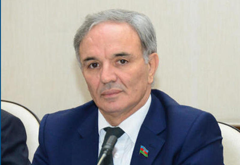 Афлатун Амашев: Медиа поддерживают государственную политику Азербайджана