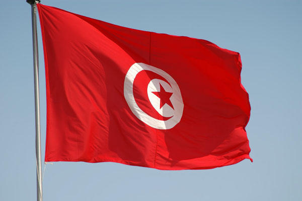 Одного из министров Туниса отправили в отставку