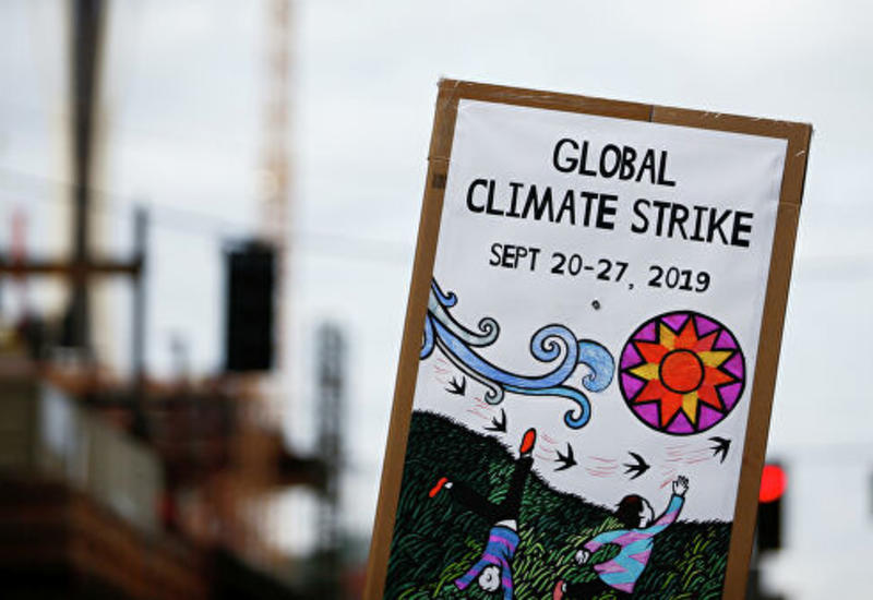 Более четырех миллионов человек приняли участие в климатических забастовках