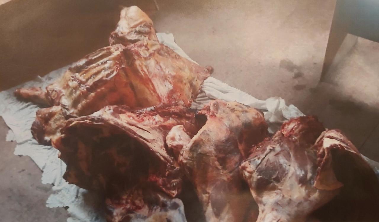 В Гяндже обнаружили сотни килограммов непригодной к потреблению говядины