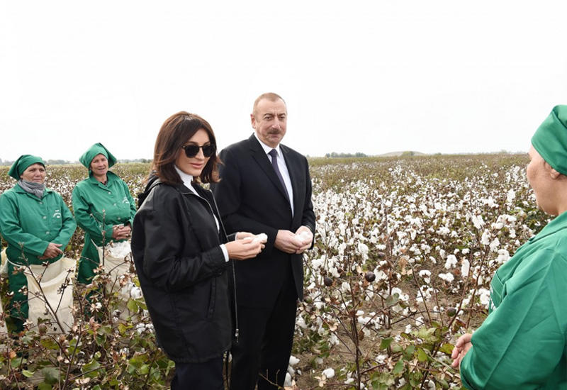 Президент Ильхам Алиев возрождает отрасль, которая принесет миллионы долларов