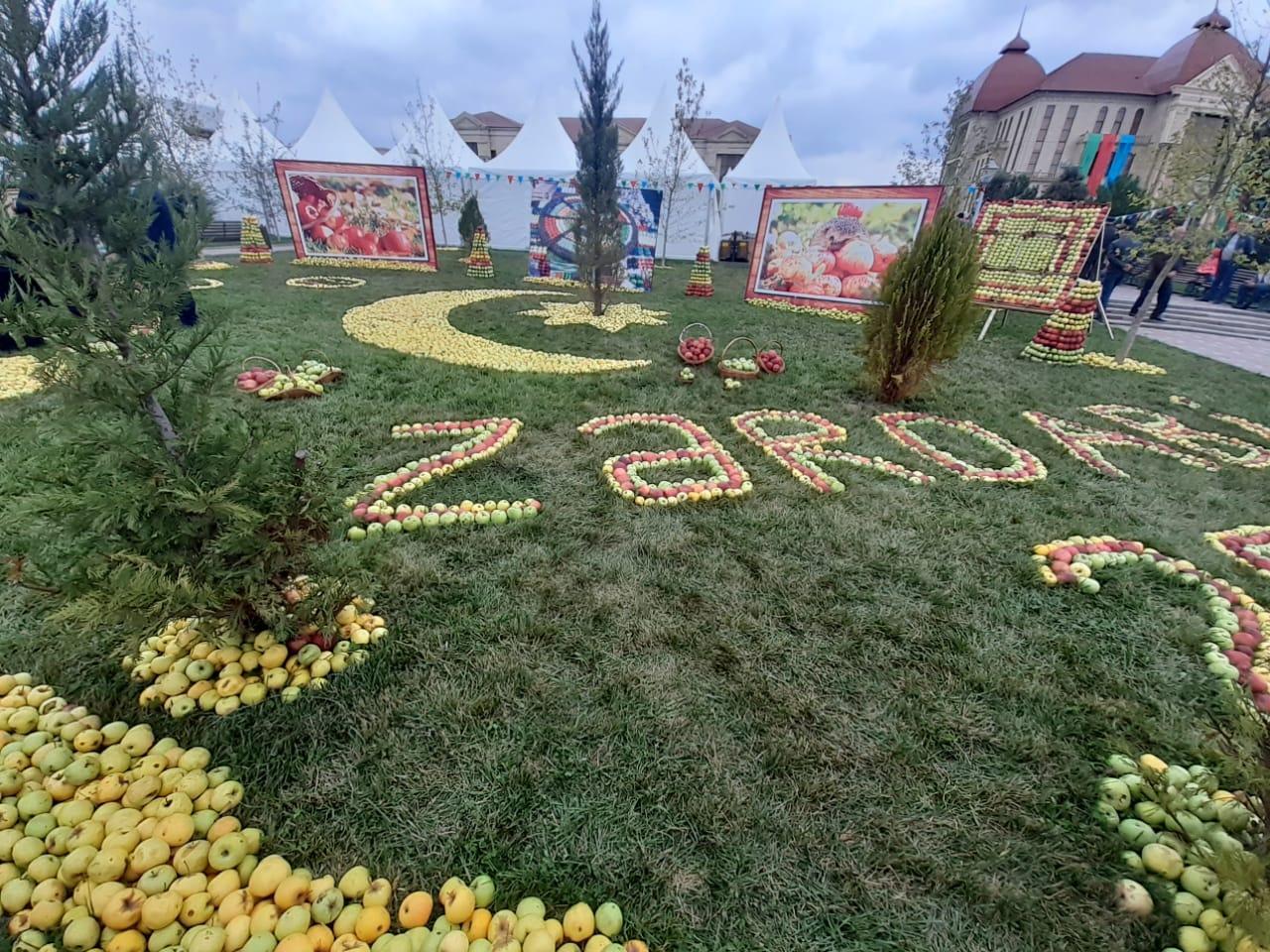 В Губе проходит VI Фестиваль яблок