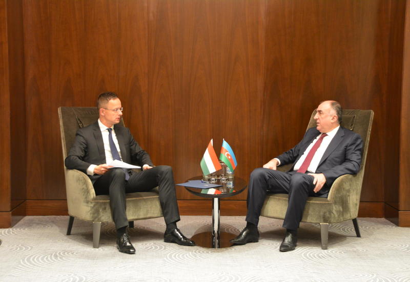 Глава МИД Азербайджана на переговорах с министром иностранных дел и торговли Венгрии