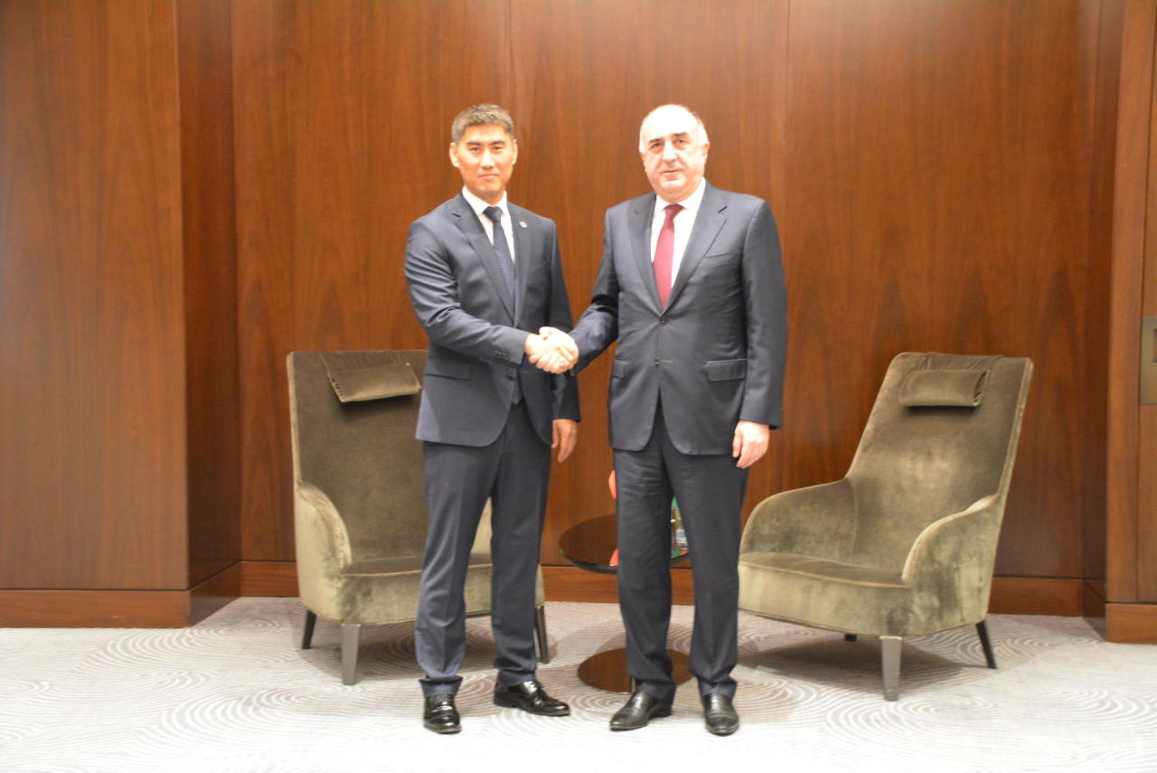 Эльмар Мамедъяров на переговорах с президентом Тюркской академии