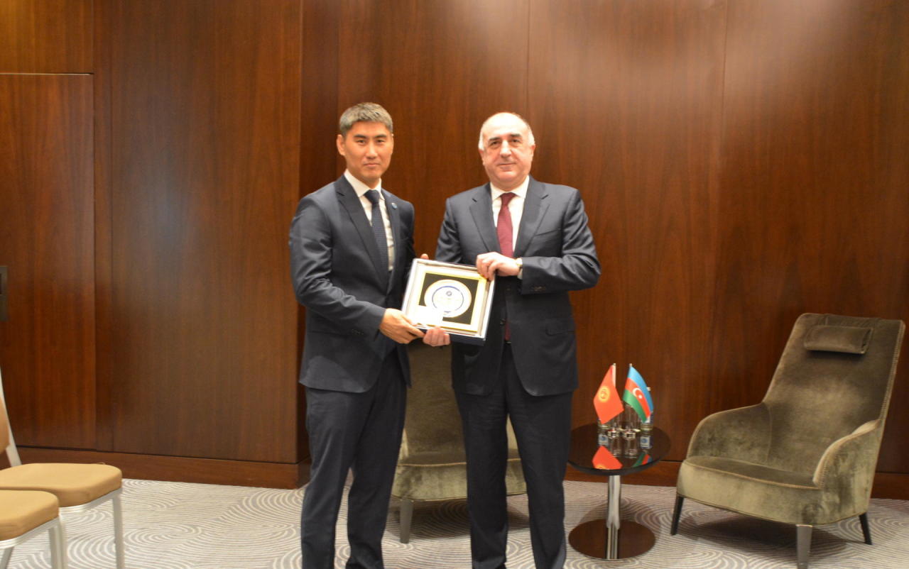 Эльмар Мамедъяров на переговорах с президентом Тюркской академии