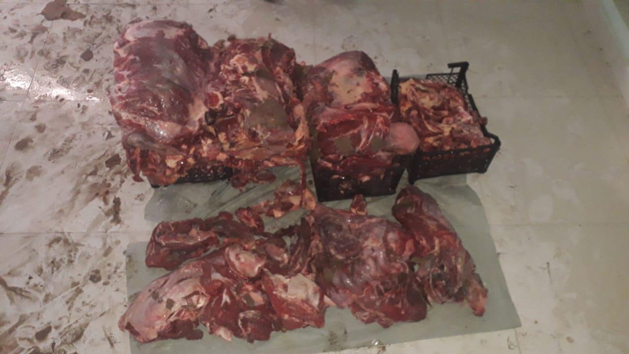 В Барде обнаружили сотни килограммов мертвечины