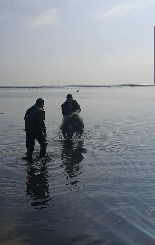 Побережье Каспийского моря очищают от запрещенных рыболовных средств