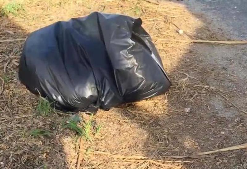 Женщина заметила мусорный мешок на обочине, когда она заглянула внутрь ее сердце сжалось