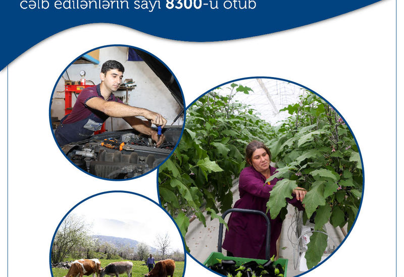 В Азербайджане в этом году тысячам людей помогут открыть свое семейное хозяйство