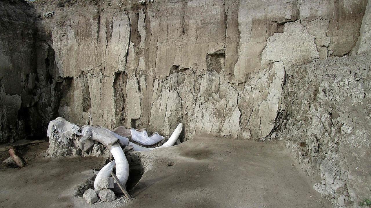 Найдено самое крупное "кладбище" мамонтов и самые древние ловушки на них