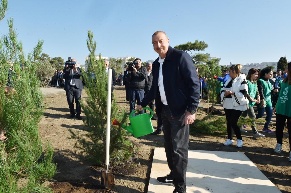 Президент Ильхам Алиев и Первая леди Мехрибан Алиева приняли участие в акции по посадке деревьев в Хатаинском районе Баку