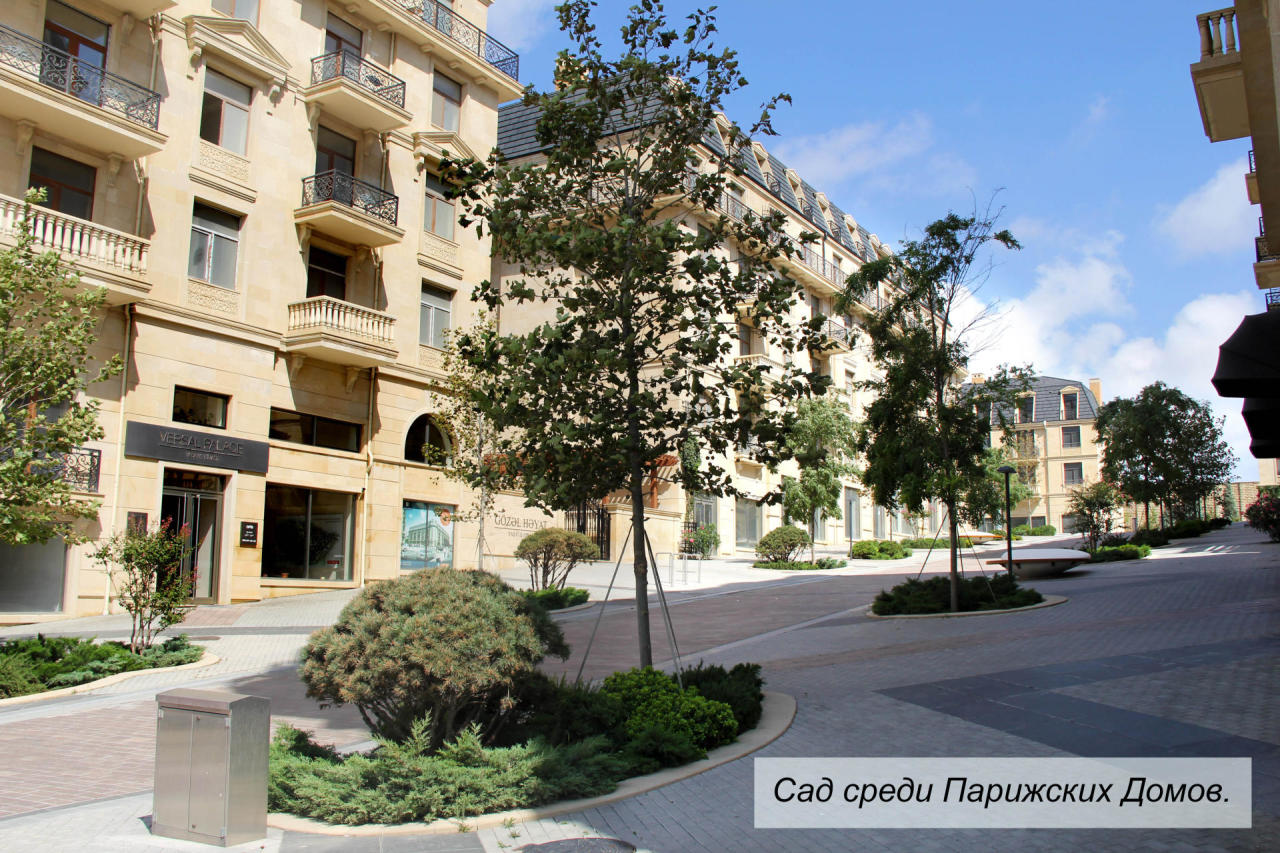В Baku White City создается очередная зона озеленения