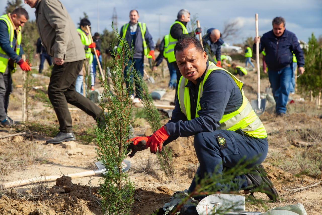 Компания “Rapid Solutions” почтила память выдающегося поэта Имадеддина Насими, высадив кипарисы в поселке Гарадаг, под лозунгом «Природа= Дерево=Дыхание»