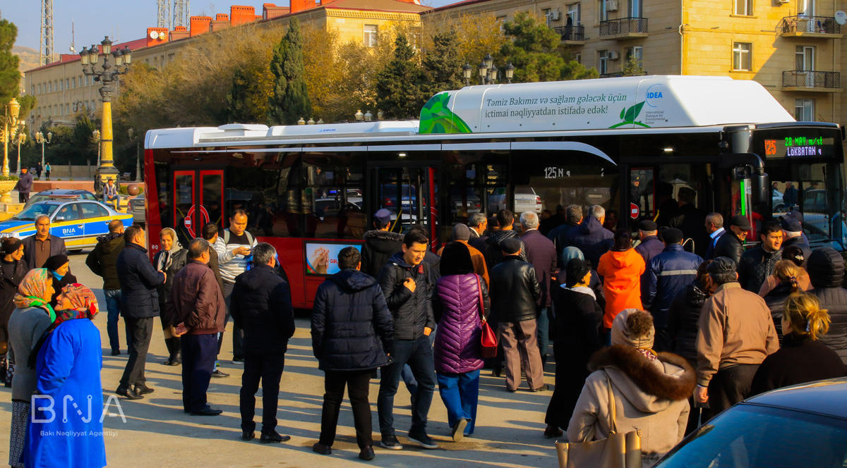 На улицах Баку появятся новые автобусы