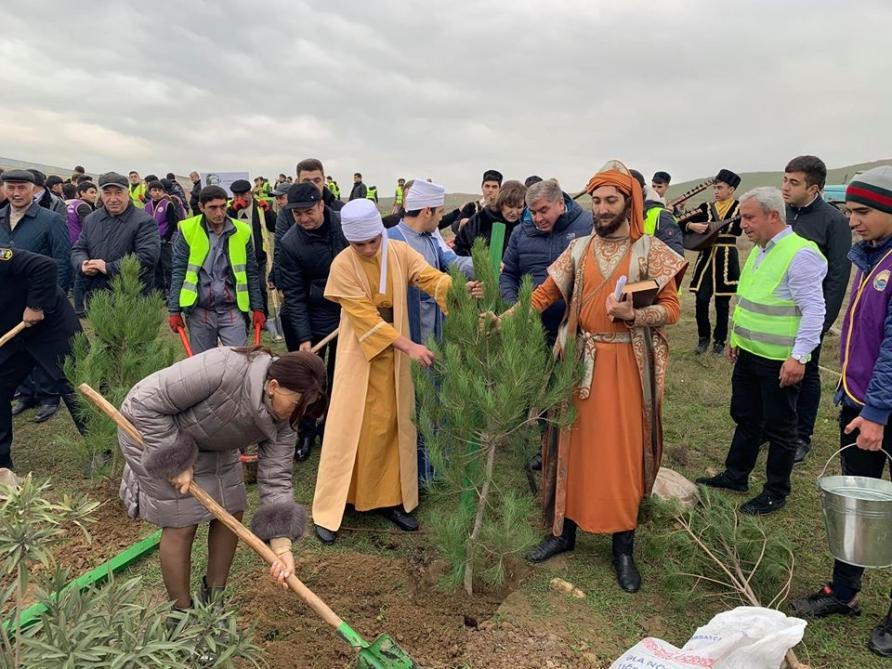 Жители Абшеронского района приняли активное участие в кампании по посадке деревьев