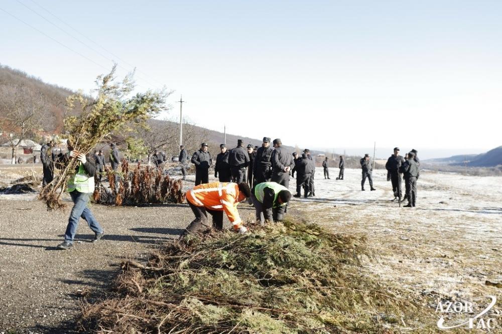 В Гусарском районе проходит акция по высадке деревьев