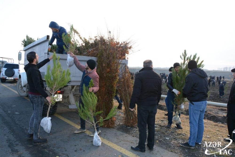 В Тертерском районе прошла акция по высадке деревьев