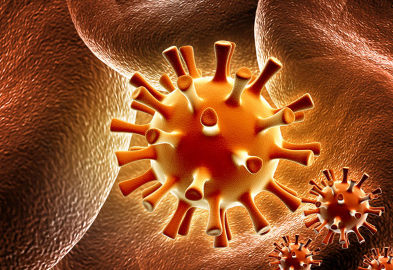 Ученые впервые победили вирус герпеса