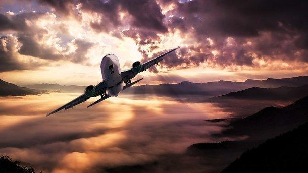 Неоднозначные действия пассажирки в самолете стали предметом споров в Сети