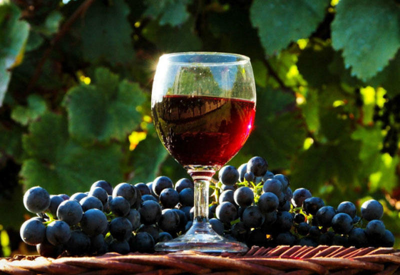 В Азербайджане создано Молодежное объединение виноградарей и виноделов