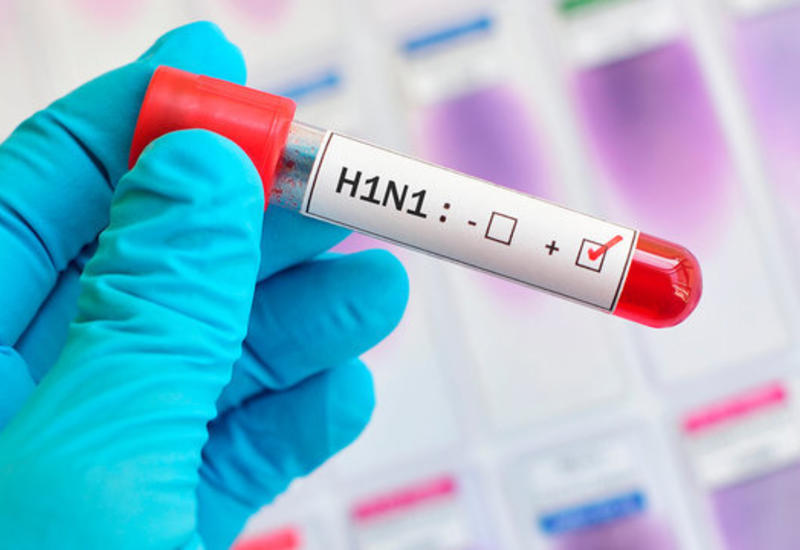 В Грузии от «свиного гриппа» скончались 2 человека